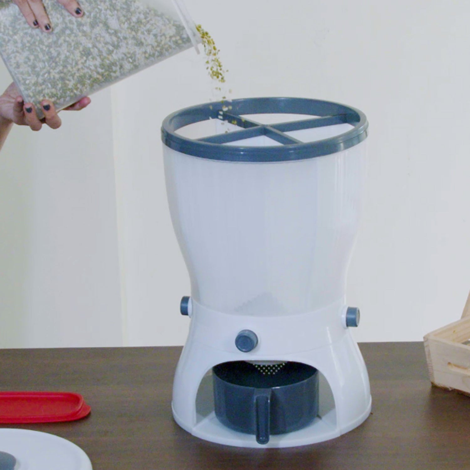 Dispenser with grains being poured out. Dispenser with grains being poured out.